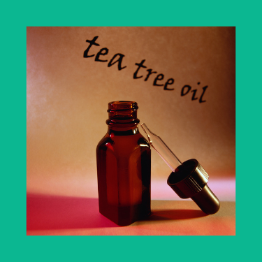 Essential Oil Basics – What Tea Tree Oil Can Be Used For